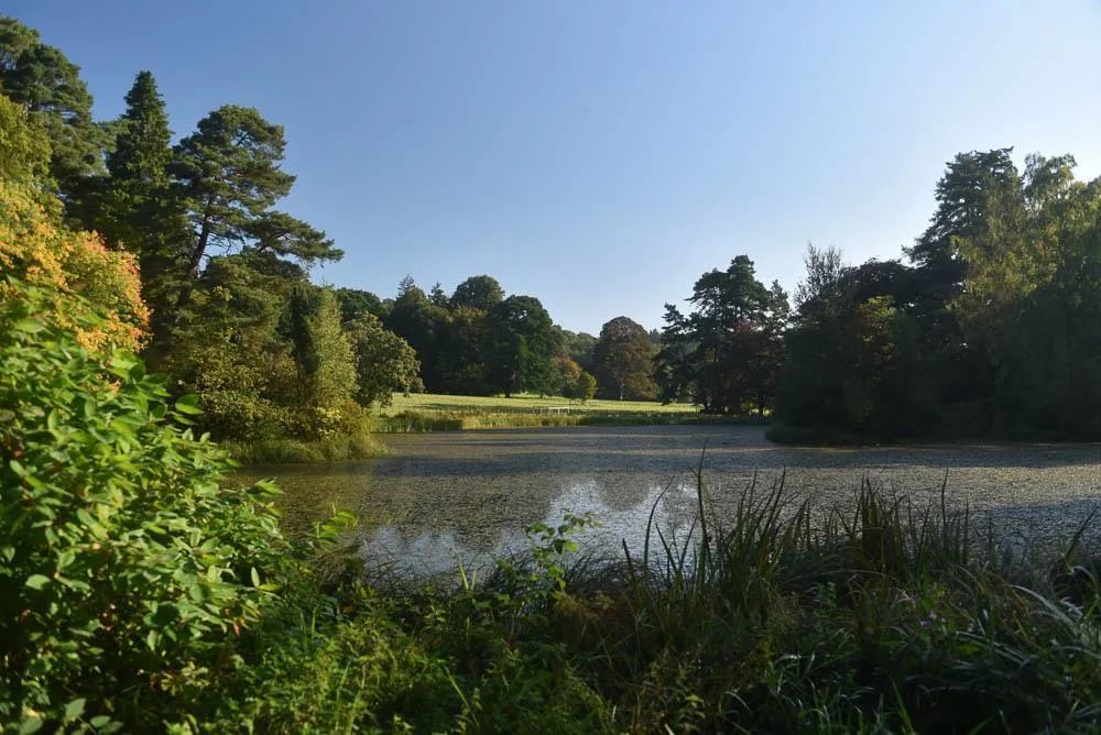 英国伦敦50亩的庄园别墅出售,英国300亩庄园出售