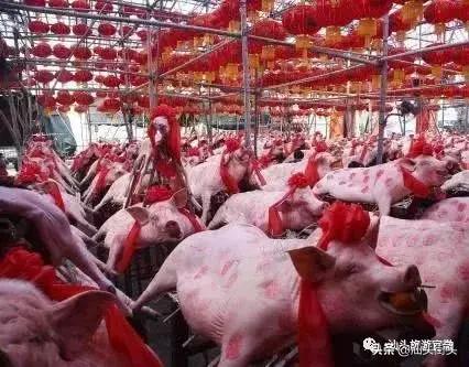 汕头的名片,汕头新名片