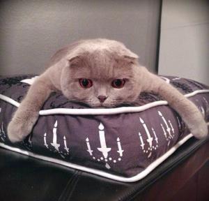 鍗氬＋閮藉湪鐢ㄧ殑绉戠爺sci缁樺浘鏁欑▼,sci缁樺浘鏍煎紡瑕佹眰