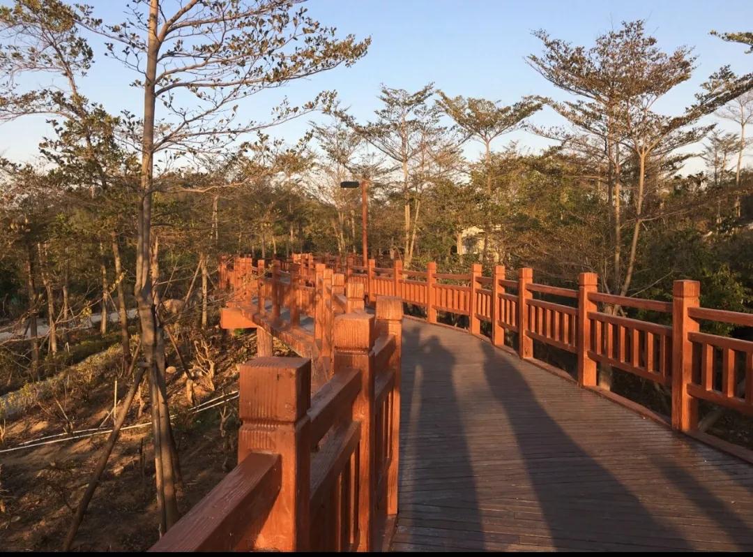 厦门香山有什么风景,厦门翔安必去8个景点香山