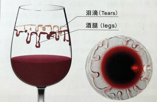 新手如何认识葡萄酒真假,葡萄酒为何挂杯