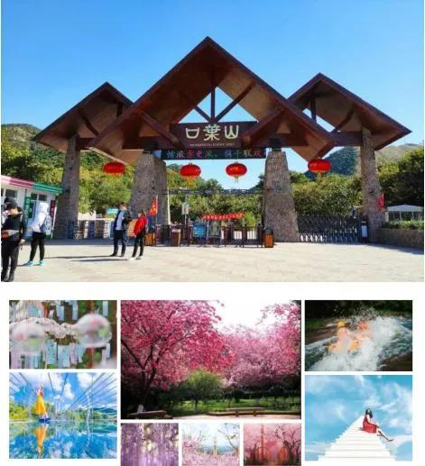 惠民旅游年卡包含哪些景点,在哪申购唐山市文化旅游惠民卡