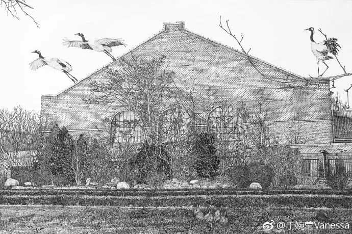 素描陈奕迅,陈奕迅素描