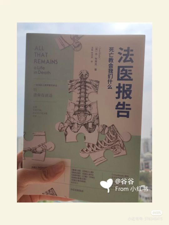 你还敢看你另一半的手机吗,你还敢重头再来吗