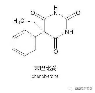 猫咪总是抽搐癫痫怎么回事呢,猫咪做梦抽搐和抽搐的区别