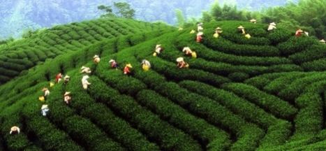 临沂二中北校区地区,临沂二型大城市