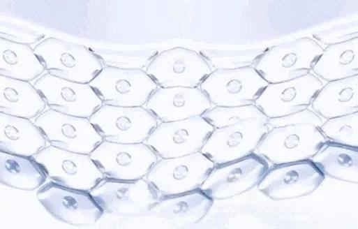 和它们相比,维C真算不上“美白神器”