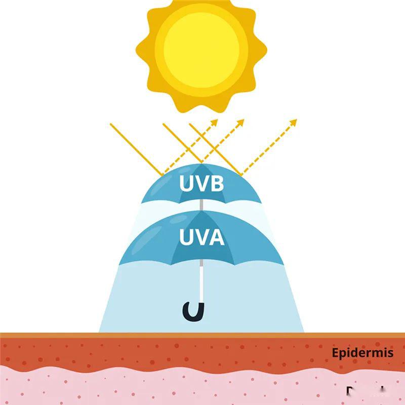 在防晒前涂什么,在防晒这条路上你交过什么智商税