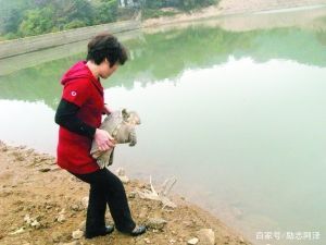 放生的福报和知识讲解,放生的佛教徒