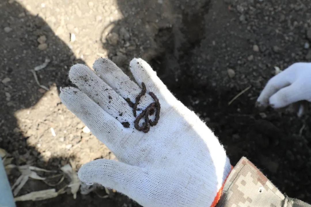 锦州市促进就业创业政策,返乡入乡创业创新政策宣传周