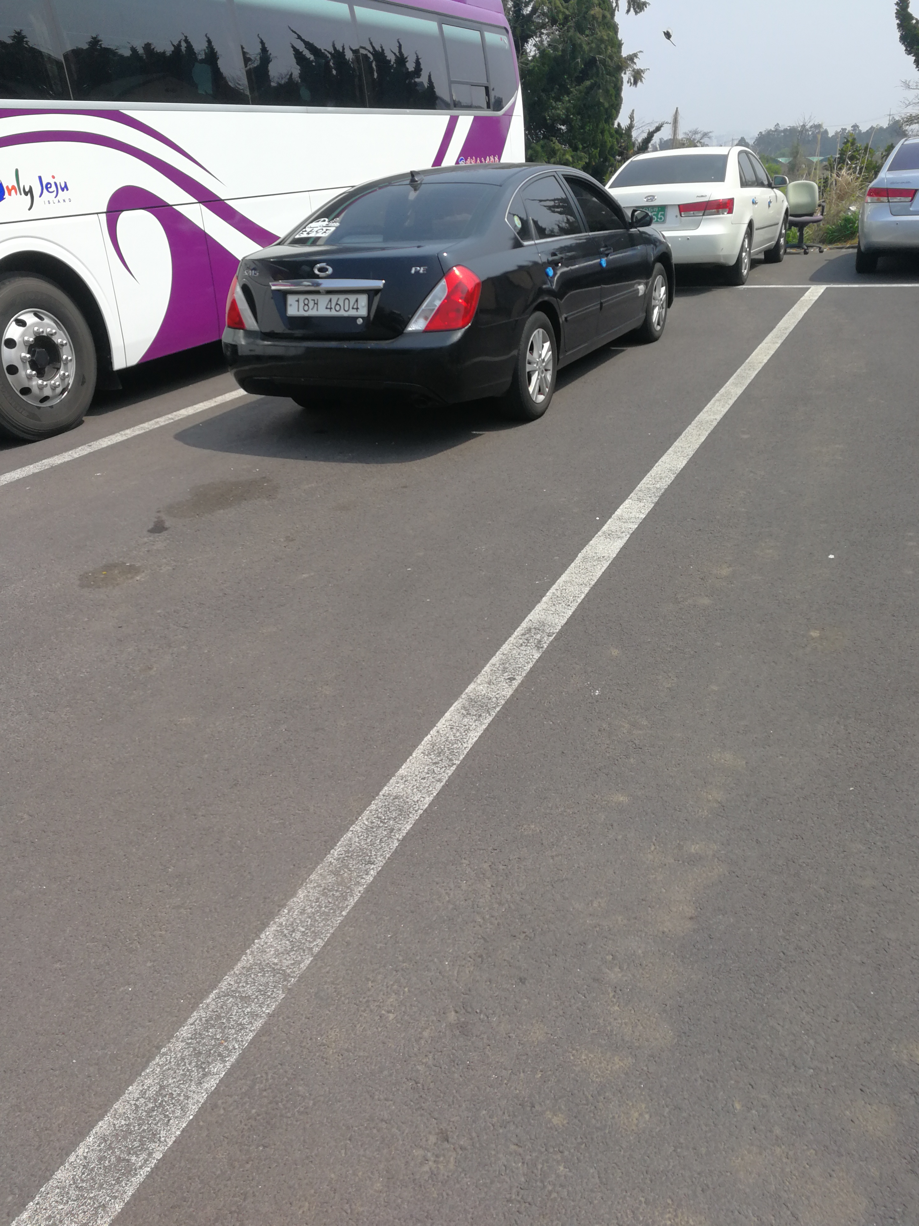 看一看济州岛上的汽车，你就明白韩国国民对本土汽车品牌的热爱