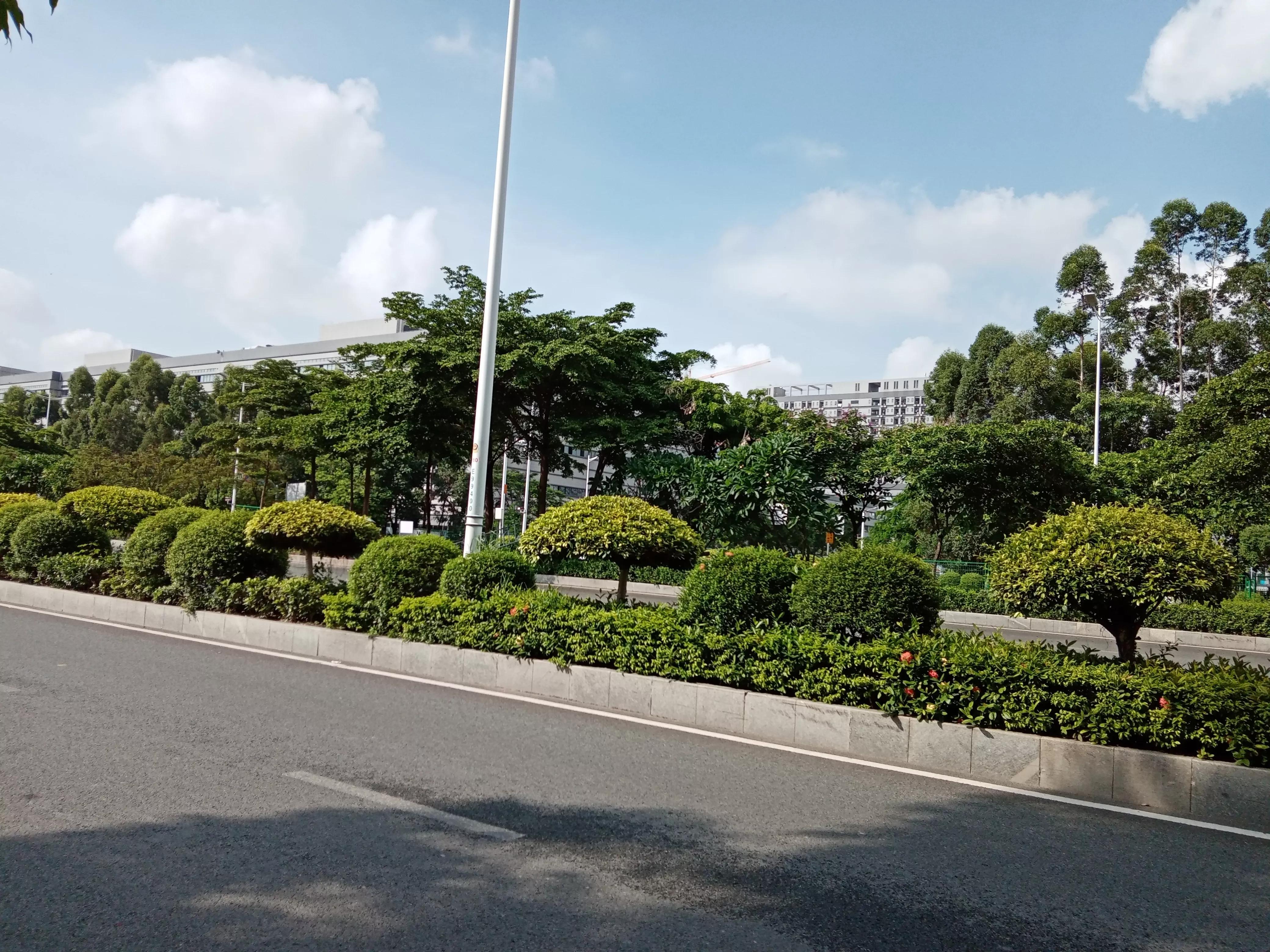 东莞市石排镇之石龙镇2021年7月4日的一天