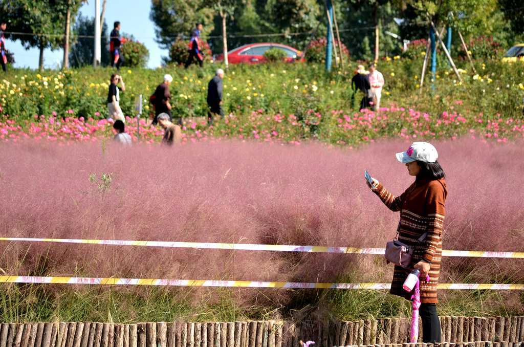 济源滨湖花园燃气,济源思礼镇滨河花园