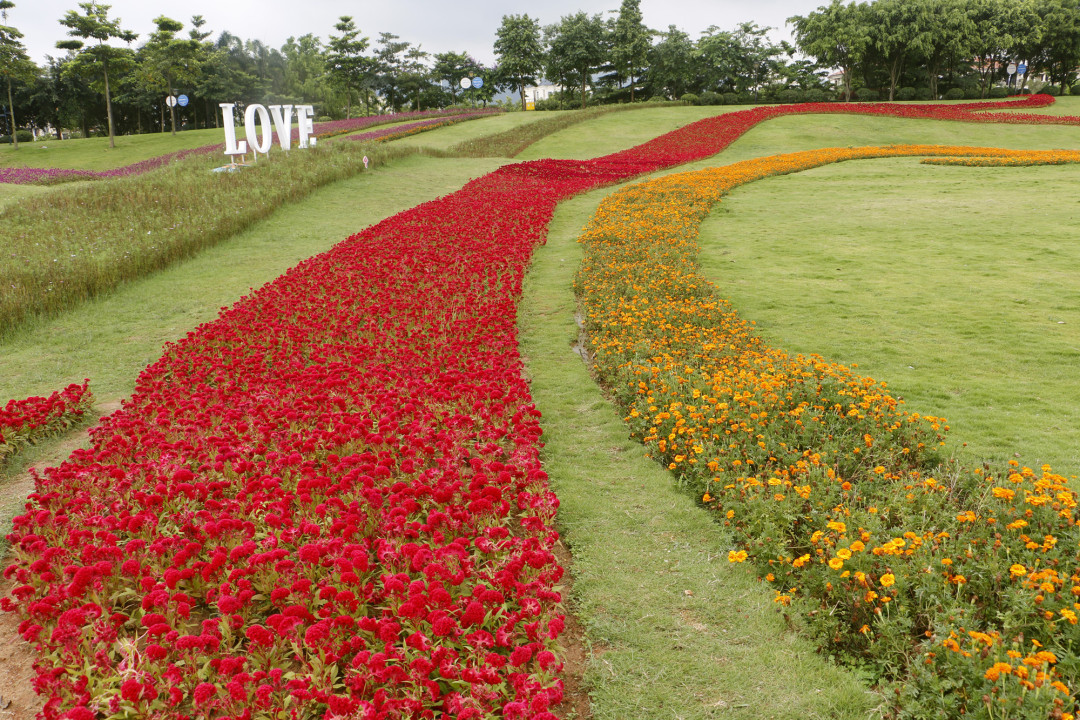 惠州博罗佳兆业万怡酒店,惠州佳兆业万豪酒店优惠团购