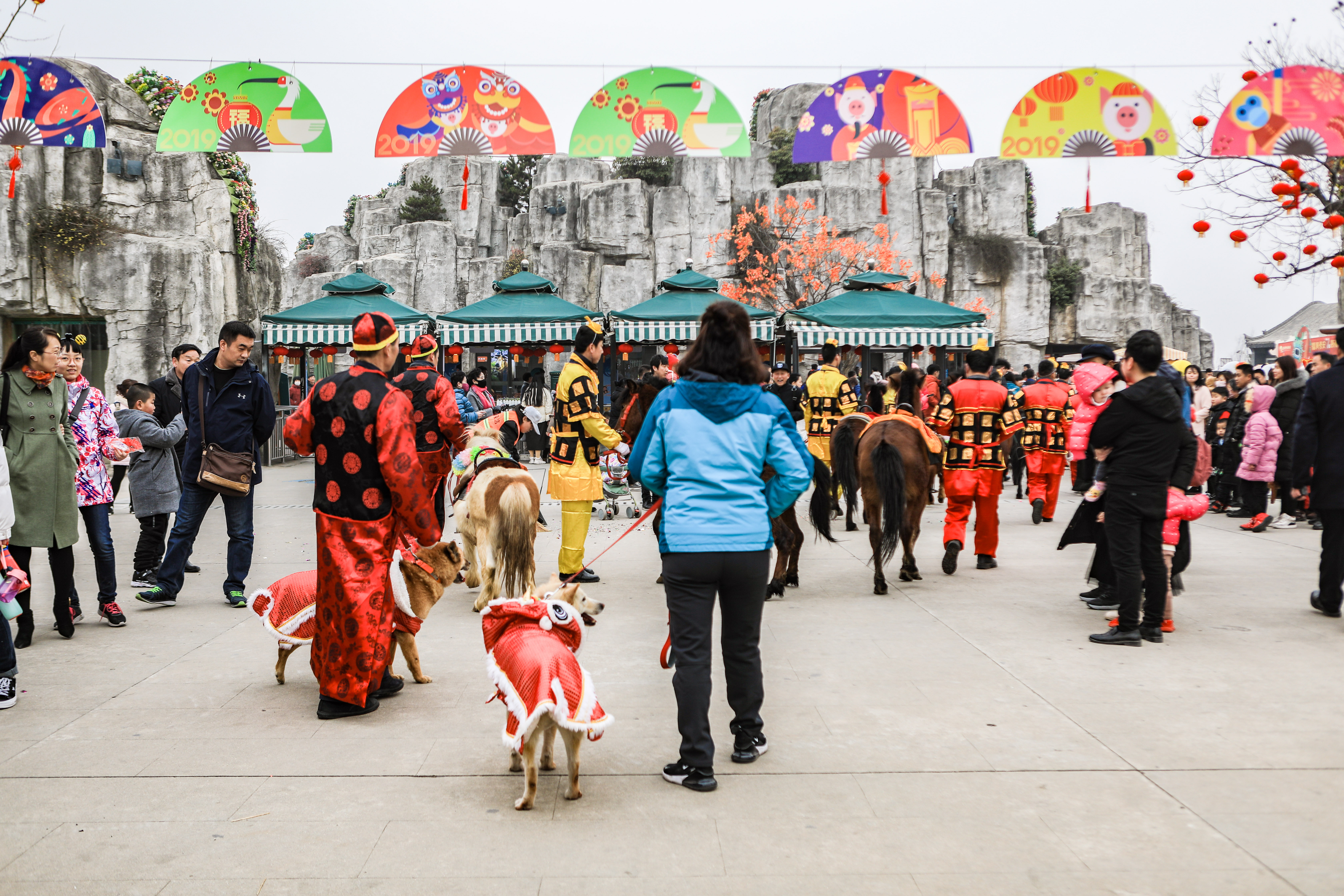 这是西北首个野生动物园，实测喂老虎是一种怎样感受！刺激