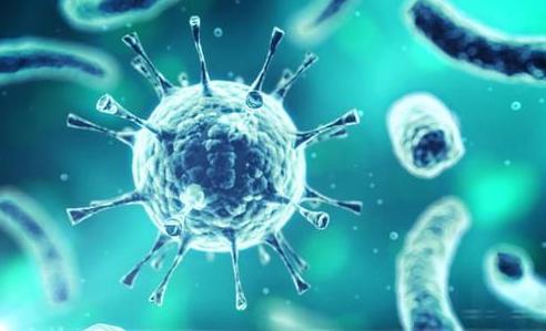 复发的尖锐性湿疣能治好吗,一个一年多的尖锐性湿疣患者