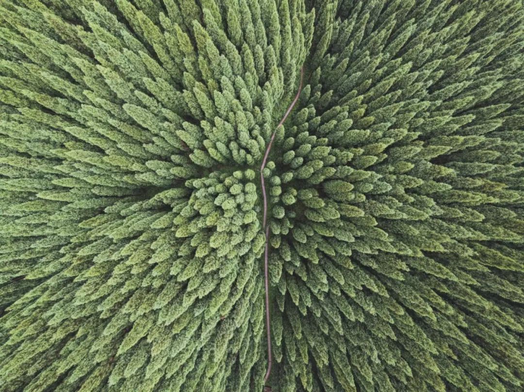 国庆成都周边旅游攻略推荐,成都周边旅游国庆2-3天推荐地方