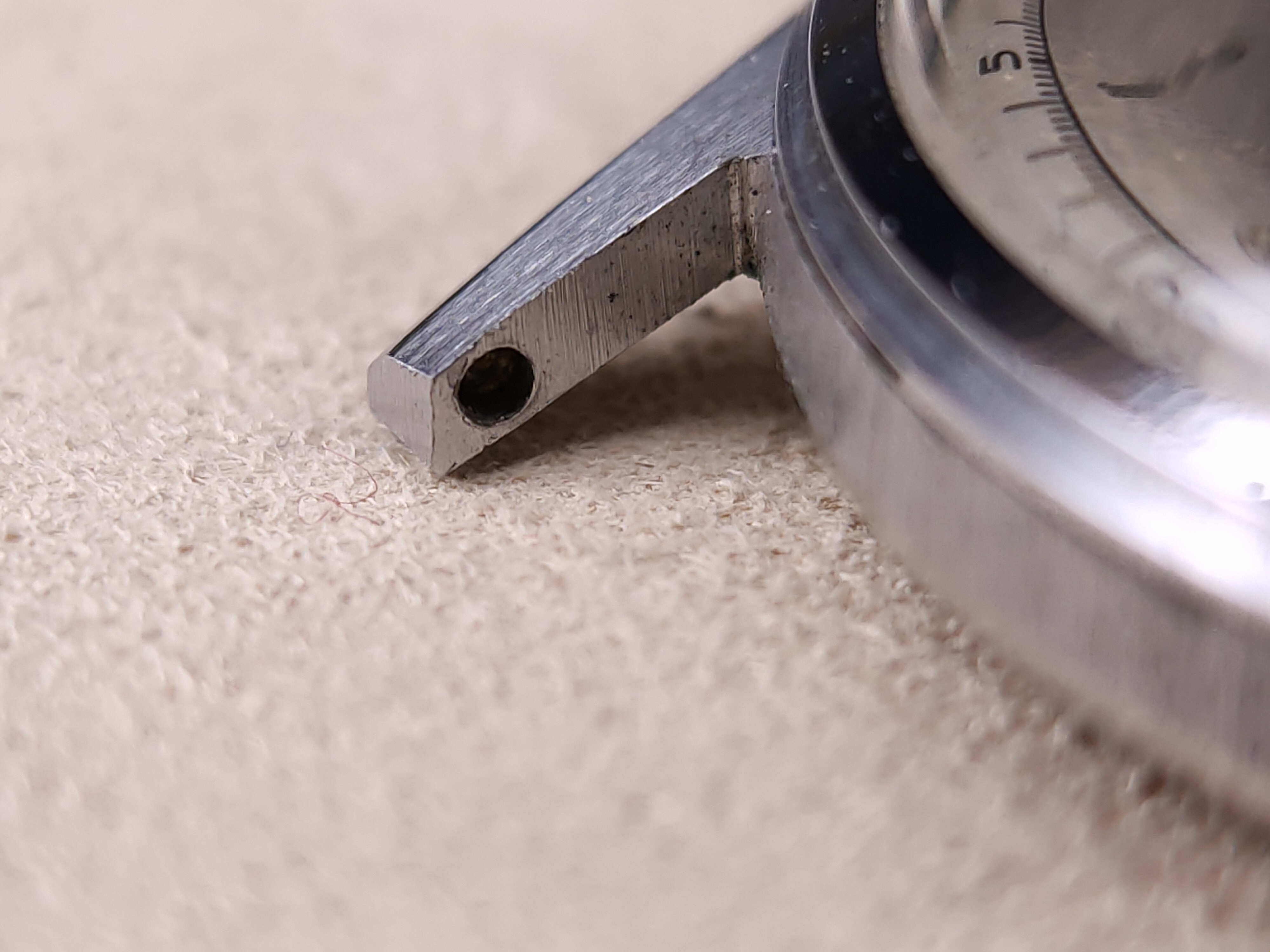 因为一条鱼爱上一个人,因一条鱼丢了一条命