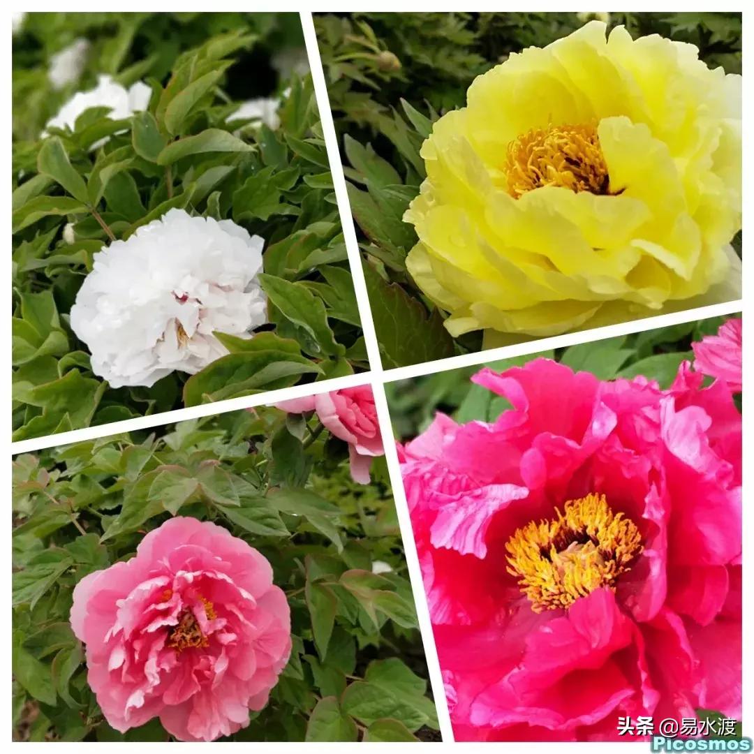 易县好玩,易县谢村文化广场五一