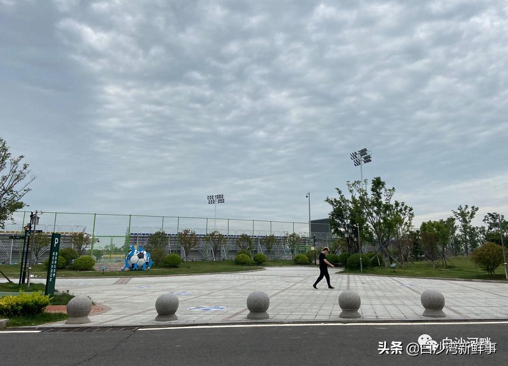 青岛城阳足球场足球赛,2024年青岛足球锦标赛城阳