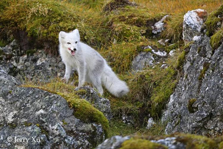 瀹氬埗鍒涙剰鏃呰,鍒涙剰瀹氬埗鏃呰