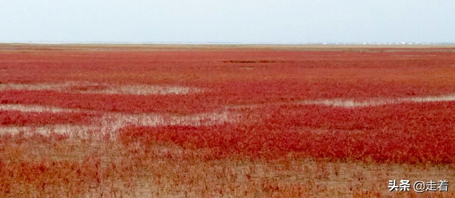 鐪嬪娓哥帺,鐪嬪