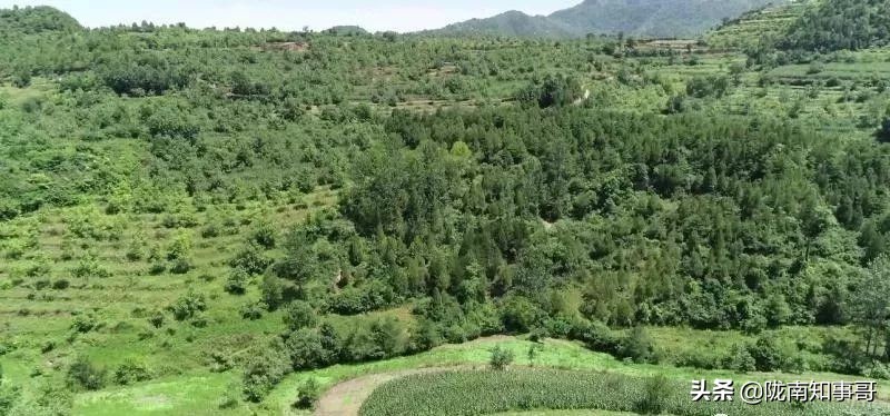 陇南成县少年追梦记,甘肃成县少年追梦记