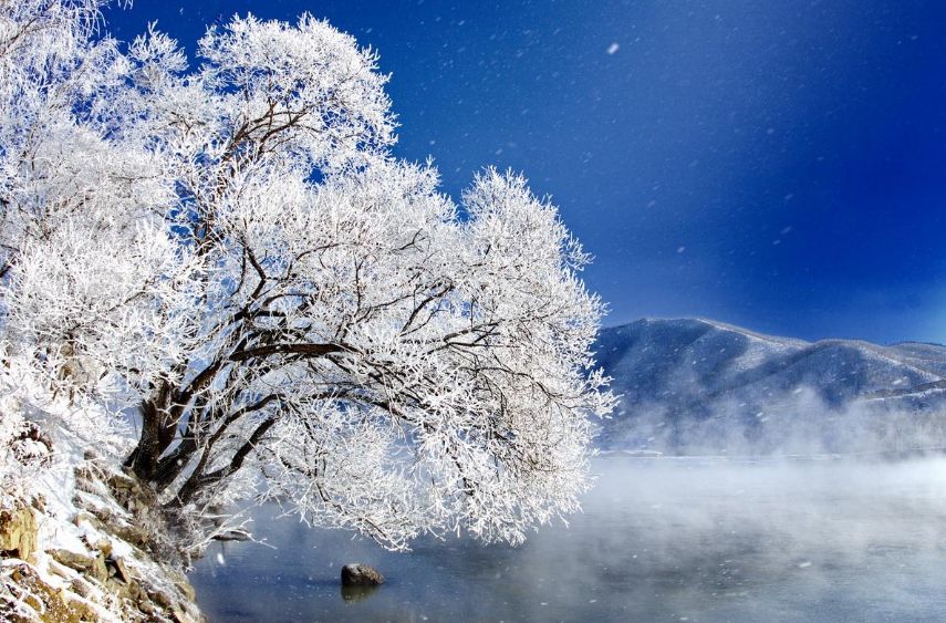 古诗词中柳树的寓意,古诗词里有冬天的诗句