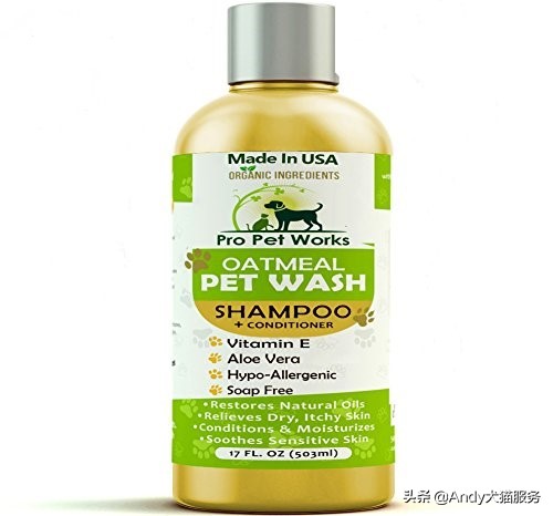 爱犬皮肤病是什么病,爱犬健康的注意事项