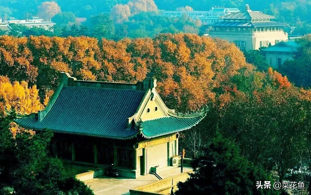 武汉大学医学部考研简介,武汉大学医学考研经验帖