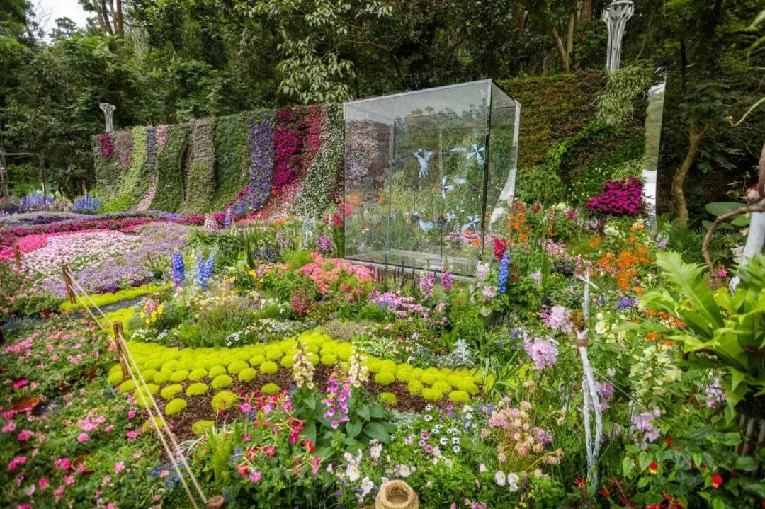 未来10天预警，深圳最最最最火的地方在这里，美女都赶来打卡