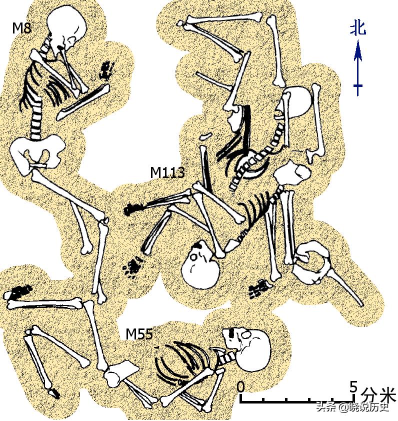 夏朝前中国历史,夏朝公元前2070到1600是怎么算的