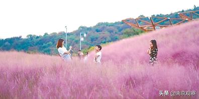 文旅融合，“汤山三宝”迭代升级