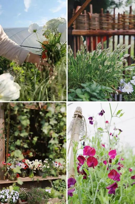 最会说情话的人全集,最会说情话的人