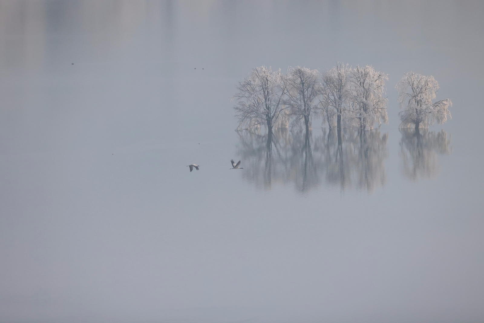 如何用eosr5拍摄视频,eosr5摄影