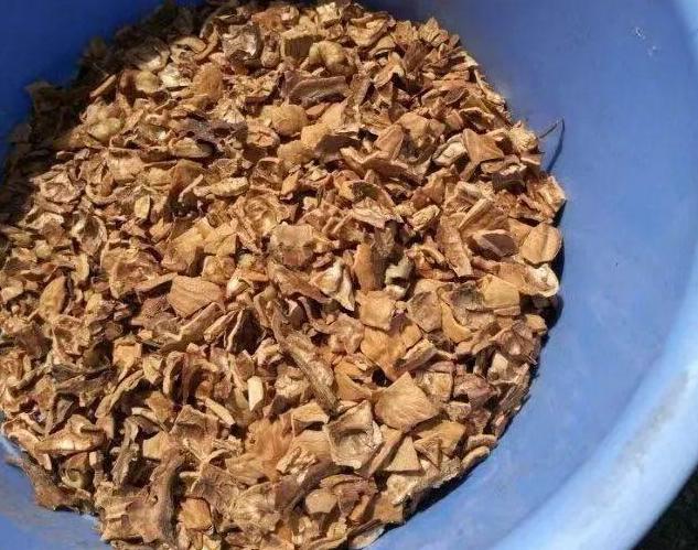 找点土加点料，找个袋子捂一捂，沤成花肥到了秋天就能用