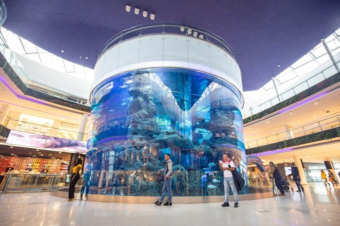 艾西拉旅游,浪漫的法国之旅旅游攻略