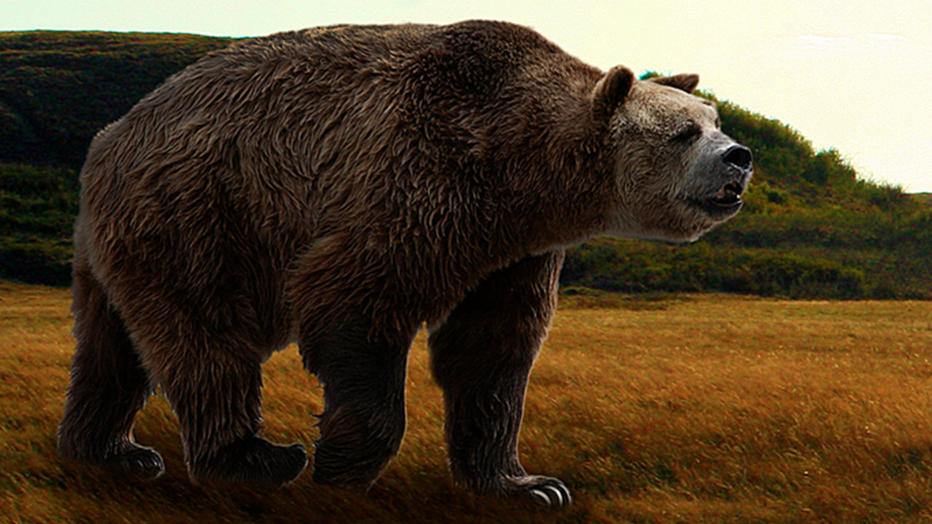 巨齿鲨vs沧龙vs帝鳄vs托斯特巨鱿,比巨齿鲨还可怕的10个史前生物