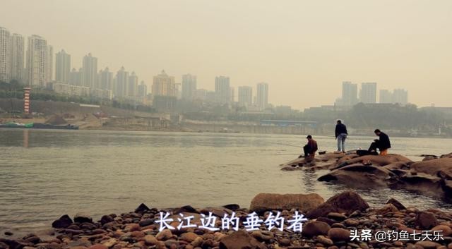 重庆地区野钓白条鱼最佳钓法,四川自然水域钓鱼最新规定