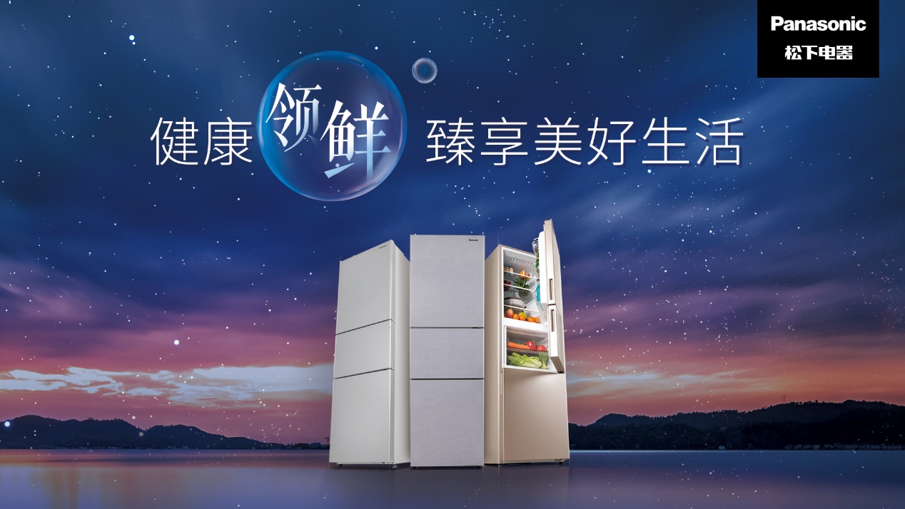 松下风冷无霜冰箱小户型,松下两门风冷冰箱