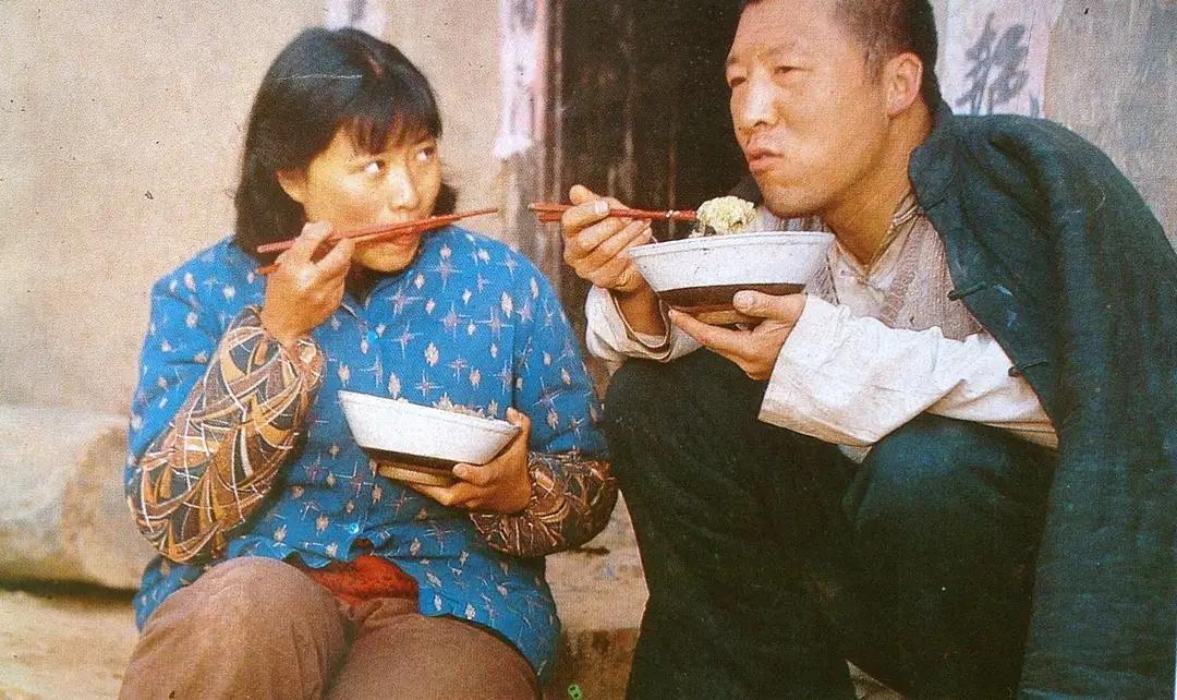 鸡窝洼人家贾平凹全文下载,贾平凹小说鸡窝洼人家讲的什么