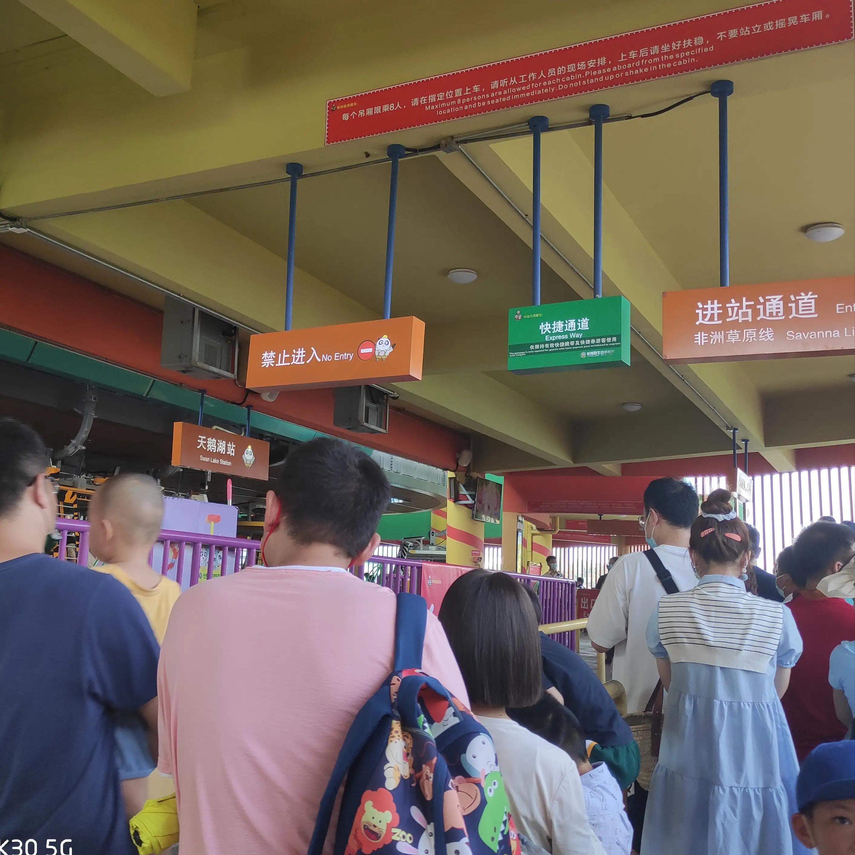 外地人去长隆野生动物园攻略,住在广州长隆野生动物园攻略