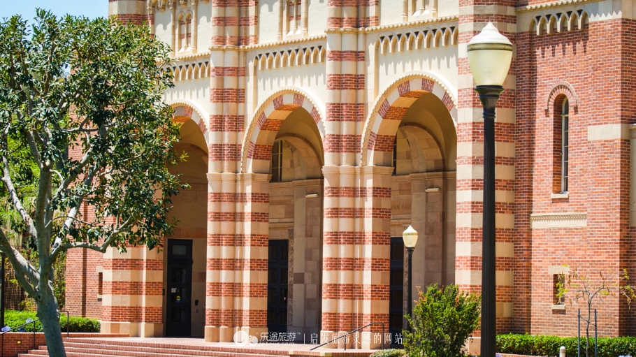 美国加州大学ucla录取条件,ucla加州大学洛杉矶分校女篮