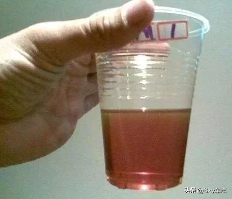 濡備綍鍒ゆ柇瀹濋┈鏈烘补鐪熶吉,瀹濋┈鏈烘补鎬庝箞鍒ゅ畾鐪熶吉