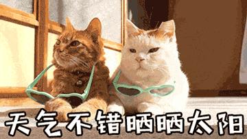 在防晒前涂什么,在防晒这条路上你交过什么智商税