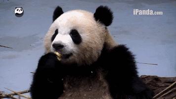 英语口语我听不懂怎么说,英语口语我觉得你说的不对