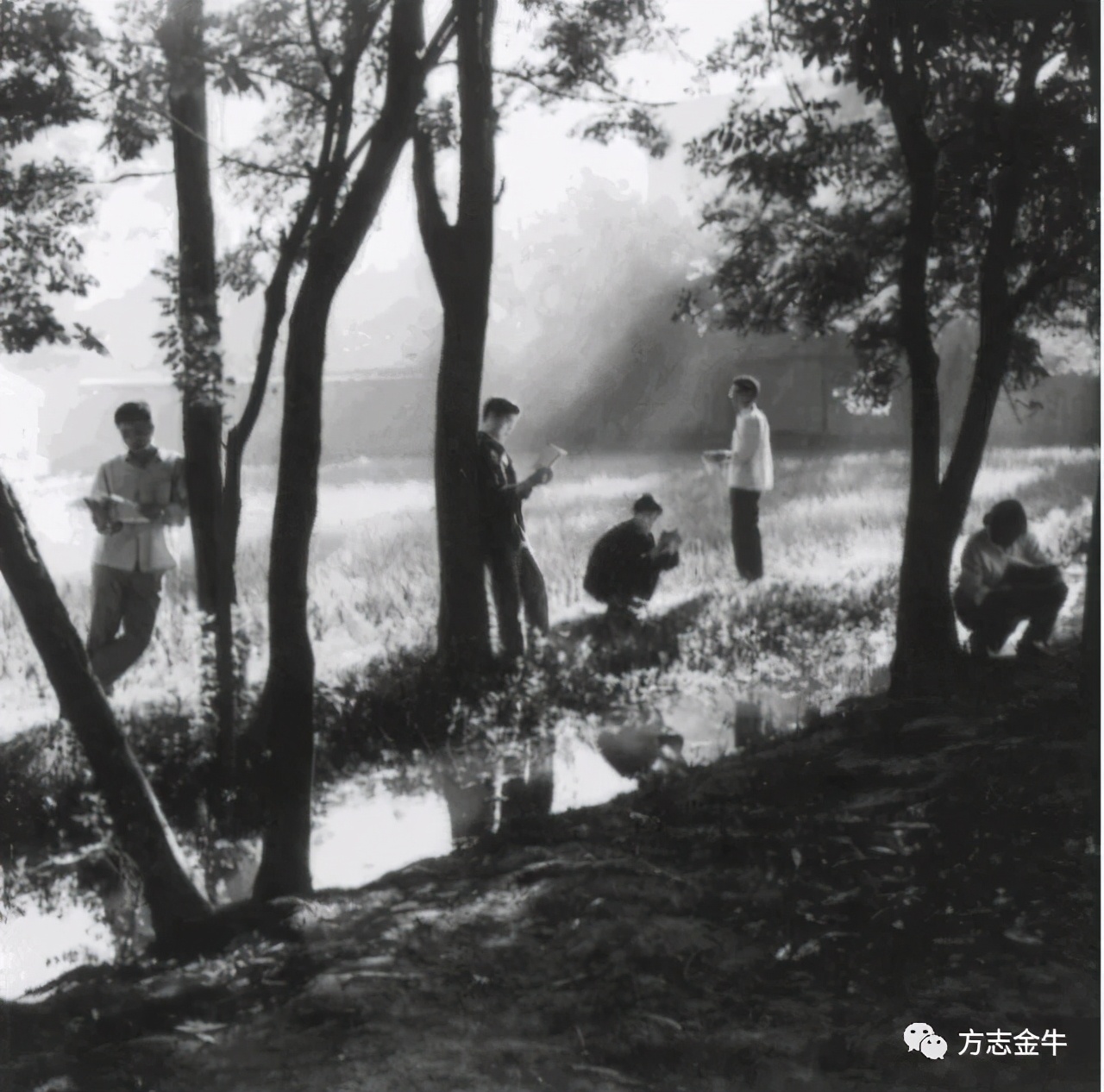 成都学校老照片,成都军区军医学校老照片