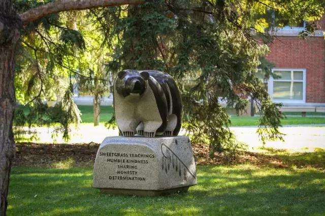 加拿大名校鄙视链,加拿大留学吐槽