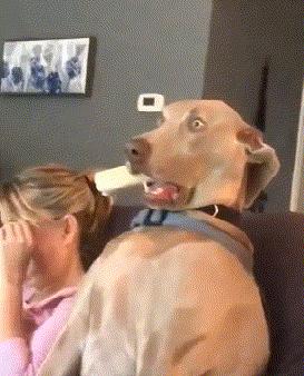 吉大慧谷学校名单,慧谷学校新消息