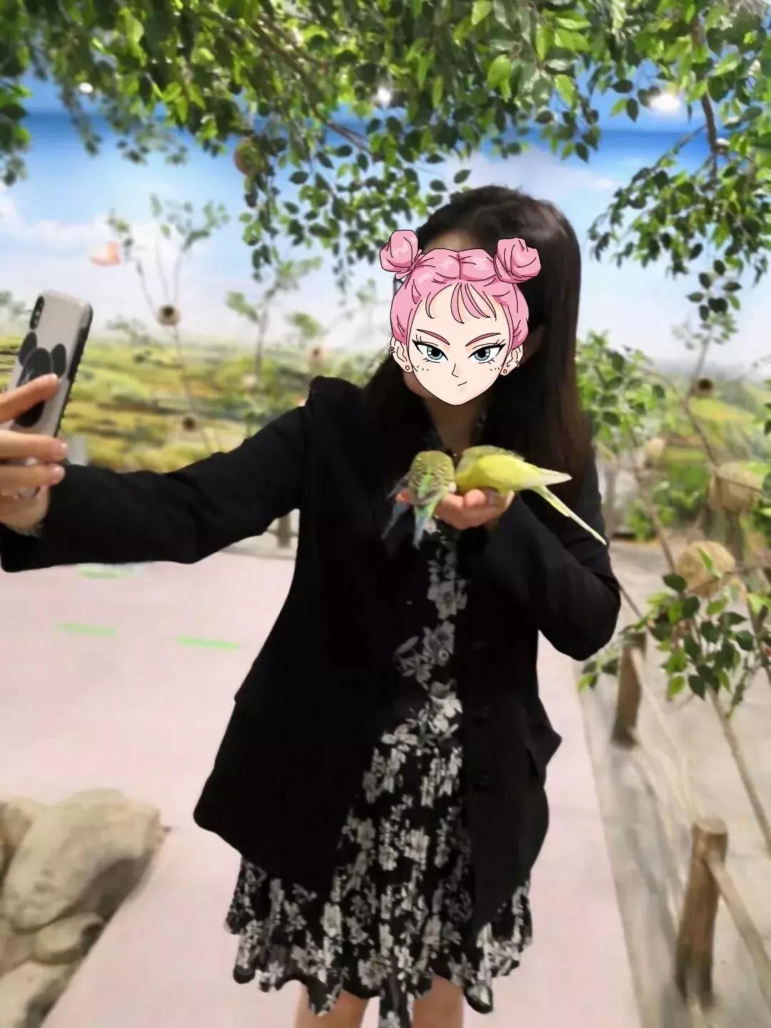 郑州奥林匹克公园萌宠乐园,郑州萌宠乐园长什么样子